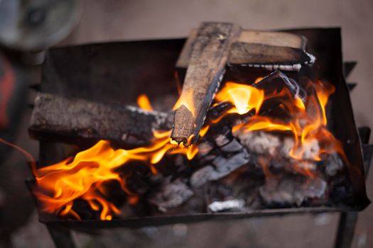 Firewood is burning. Burning dry branches. Creating coal. Picnic details. Unsafe flames.