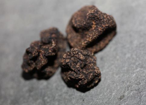 Black wild summer truffles mushrooms close up family tuberaceae botanical modern high quality big size background print home decoration