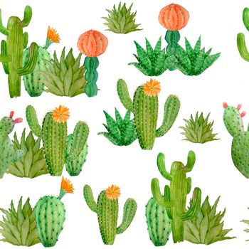 Watercolor hand drawn seamless pattern of tropical mexican cactus cacti succulents. Green natural house plants in pots botanical illsutration print interior design decoration for wallpaper textile