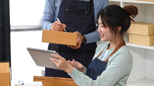 Cheerful young woman working on start up business with her colleague at home office.