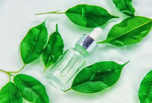 Cosmetics in a bottle in water, skin hydration concept. Selective focus. Nature.
