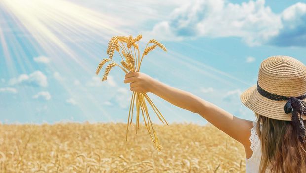 A child in a wheat field. Selective focus. nature.