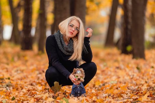 girl with a Yorkshire terrier dog in the autumn park