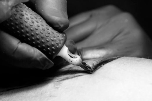 Tattoo needle penetrates the skin and insert the ink.