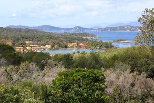 the coast of the Porquerolles Island seen from above with its marina and its green and lush Mediterranean vegetation