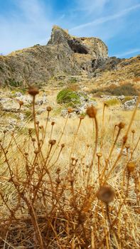 Vegetation and Rocky Mountains in Greece during a summer day