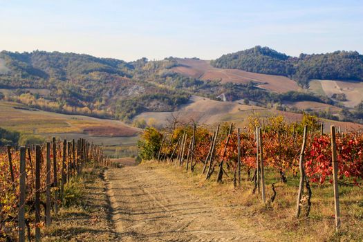 The landscape of the hills of the Oltrepo Pavese, you can see the hills where it is produced the wine of high quality Italian