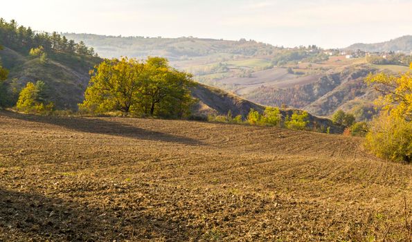 The landscape of the hills of the Oltrepo Pavese, you can see the hills where it is produced the wine of high quality Italian