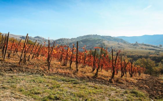 The landscape of the hills of the Oltrepo Pavese, you can see the hills where it is produced the wine of high quality Italian