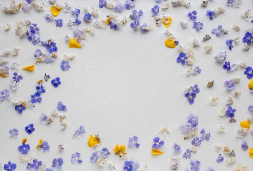 Frame of blue flowers and yellow petals on a white background. Postcard for the holiday.