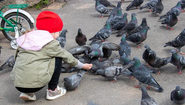 The girl turned to face the pigeons, squatted down, and began to feed them grain with her hand