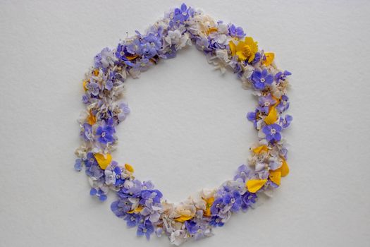 Frame of blue flowers and yellow petals on a white background. Postcard for the holiday. Nature