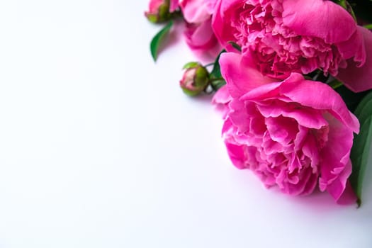 Bright pink peonies on a white background. Summer flower arrangement. Background for a greeting card. Copy space. The concept of a holiday, birthday, Valentine's Day, gift, declaration of love