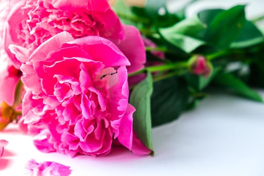 Bright pink peonies on a white background. Summer flower arrangement. Background for a greeting card. Copy space. The concept of a holiday, birthday, Valentine's Day, gift, declaration of love