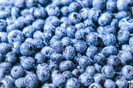 Blueberries fruit background. Water drops on ripe sweet blueberry. Collection of blue and black berries. Conceptual food image Superfood