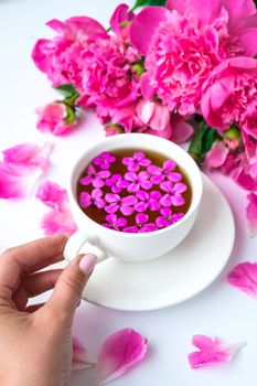 Creative layout with pink peonies flowers. Female hand holding cup of tea on bright table. Spring Seasonal valentine, woman, mother, 8 march holiday, romance breakfast. Stylish blogger. Greeting card. Invitation. Blog post