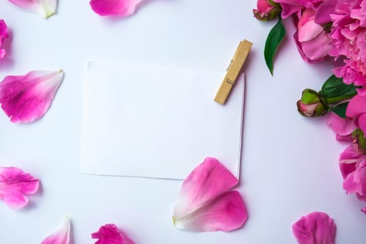 Bright pink peonies on a white background. Summer flower arrangement. Background for a greeting card with paper note. Copy space. The concept of a holiday, birthday, Valentine's Day, gift, declaration of love