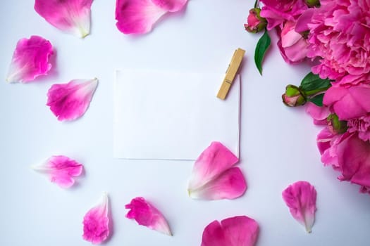 Bright pink peonies on a white background. Summer flower arrangement. Background for a greeting card with paper note. Copy space. The concept of a holiday, birthday, Valentine's Day, gift, declaration of love