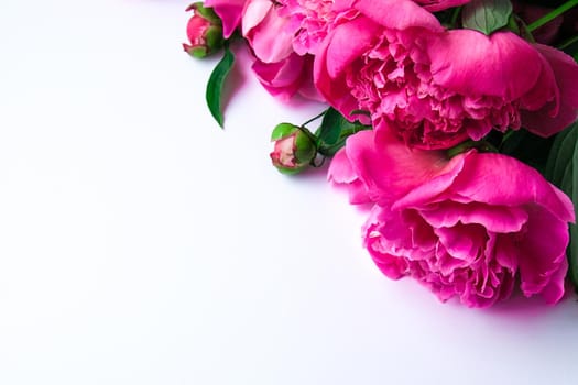 Bright pink peonies on a white background. Summer flower arrangement. Background for a greeting card. Copy space. The concept of a holiday, birthday, Valentine's Day, gift, declaration of love