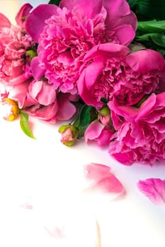 Bright pink peonies on a white background. Summer flower arrangement. Background for a greeting card. Copy space. The concept of a holiday, birthday, Valentine's Day, gift, declaration of love