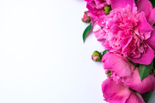 Bright pink peonies on a white background. Summer flower arrangement. Background for a greeting card. Copy space. The concept of a holiday, birthday, Valentine's Day, gift, declaration of love