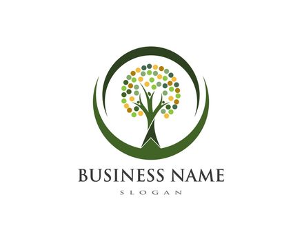 family tree logo template vector illustration