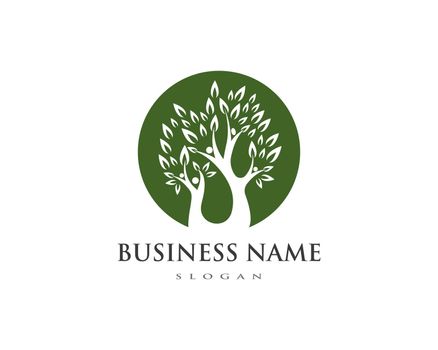 family tree logo template vector illustration