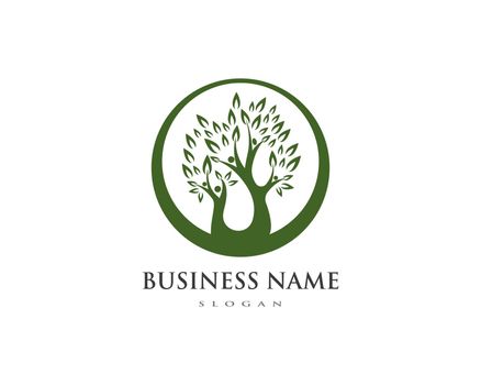 family tree logo template vector illustration