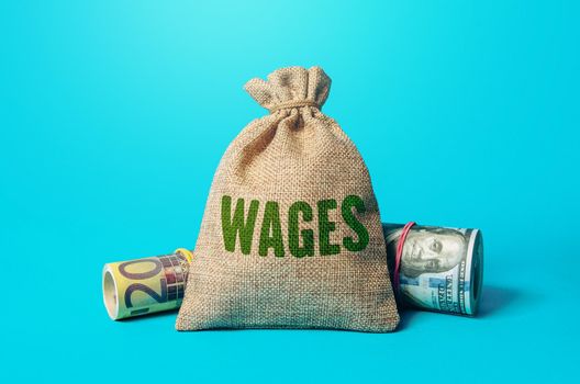Wages money bag. Business and finance. Income statistics, salary, revenue. Career rise. Promotion. Premiums and allowances, bonuses.