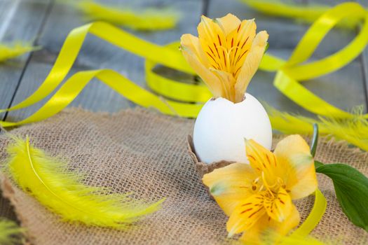 a flower sprouted in an egg. Happy Easter concept. Yellow alstroemeria flower in an egg on a wooden background with yellow flowers and yellow ribbon. Soft focus