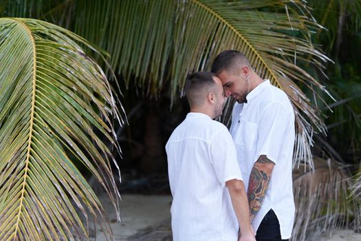 Homosexual lovers standing while looking at each other tenderly and closely next to a palm tree