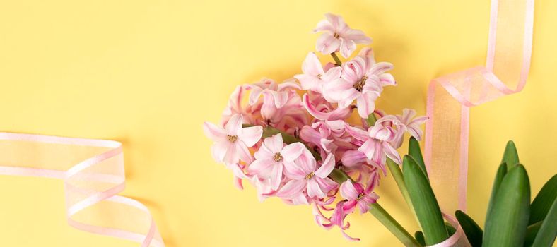 banner with pink hyacinth flowers on pastel yellow colors with pink ribbon. Spring coming concept. Spring or summer background. Top view