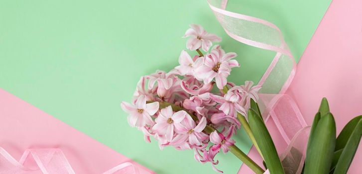 banner with flat lay of pink hyacinth flowers with pink ribbon on pastel green and pink colors. Spring or summer coming concept in minimalist style. Spring or summer background. Top view