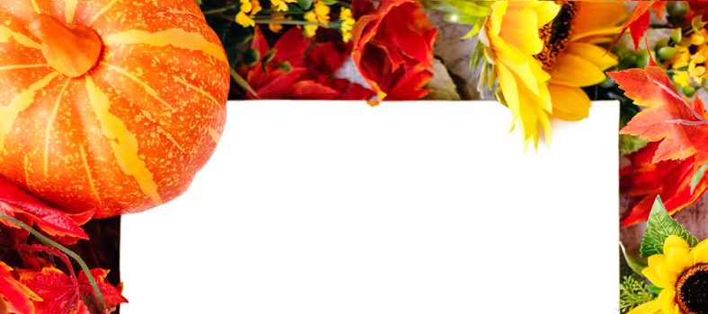 Autumn background: orange pumpkin, yellow sunflowers, orange and red leaves, daisy flower. mock-up, floral frame for design. Soft focus.