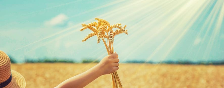 A child in a wheat field. Selective focus. nature.