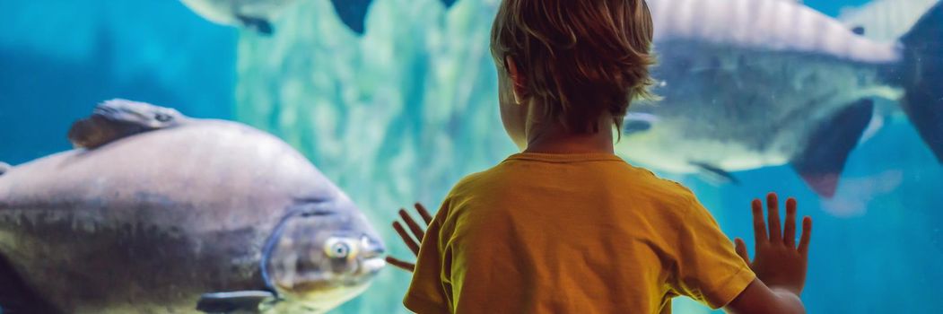 Little boy, kid watching the shoal of fish swimming in oceanarium, children enjoying underwater life in Aquarium. BANNER, LONG FORMAT