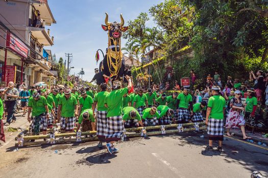 Ubud, Bali, Indonesia - April 22, 2019 : Royal cremation ceremony prepation. Balinese hindus religion procession. Bade and Lembu Black Bull symbol of transportation for the spirit to the heaven.