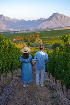 Vineyard landscape at sunset with mountains in Stellenbosch, near Cape Town, South Africa. wine grapes on the vine in a vineyard, couple man and woman walking in Vineyard in Stellenbosch South Africa