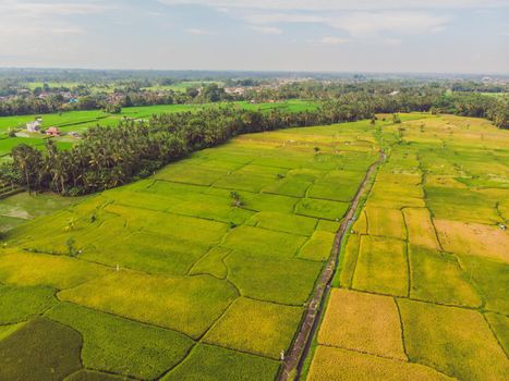 Image of beautiful Terraced rice field in water season and Irrigation from drone,Top view of rices paddy.