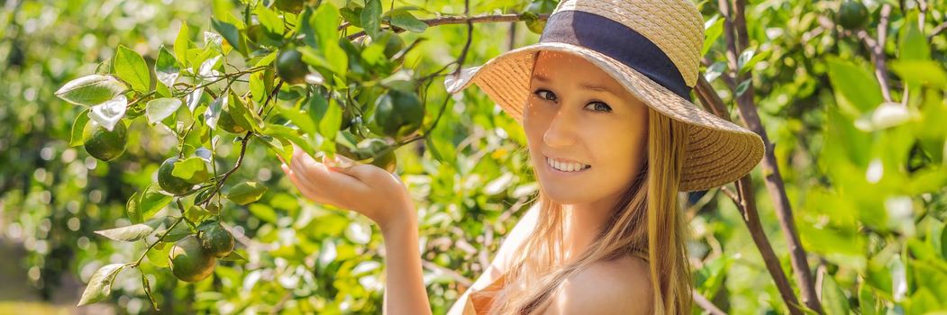 BANNER, LONG FORMAT Portrait of Attractive Farmer Woman is Harvesting Orange in Organic Farm, Cheerful Girl in Happiness Emotion While Reaping Oranges in The Garden, Agriculture and Plantation Concept.