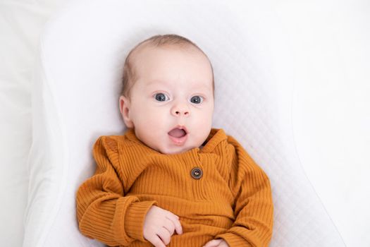 The baby is lying in a cocoon of copy space . The baby is 0-3 months old. A contented infant. An article about choosing a cocoon for newborns. An article about the benefits of cocoon. An article about colic . White background. High quality photo