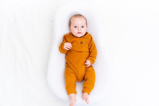 The baby is lying in a cocoon of copy space . The baby is 0-3 months old. A contented infant. An article about choosing a cocoon for newborns. An article about the benefits of cocoon. An article about colic . White background. High quality photo