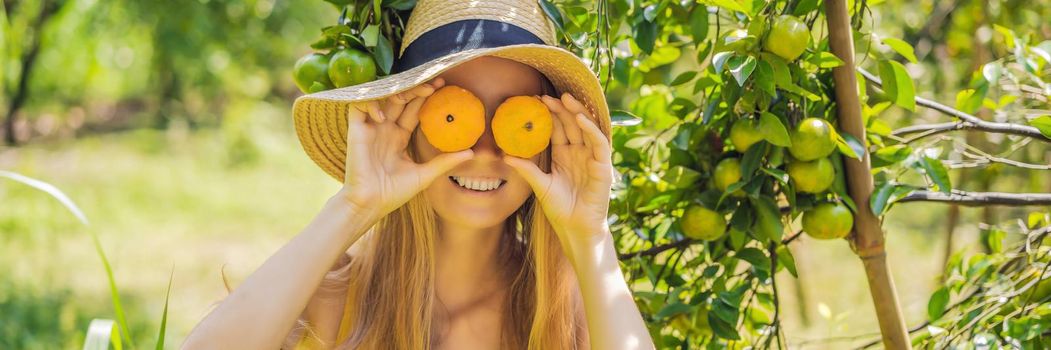 BANNER, LONG FORMAT Portrait of Attractive Farmer Woman is Harvesting Orange in Organic Farm, Cheerful Girl in Happiness Emotion While Reaping Oranges in The Garden, Agriculture and Plantation Concept.