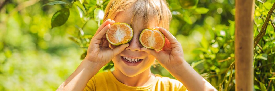 Cute boy in the garden collects tangerines. BANNER, LONG FORMAT
