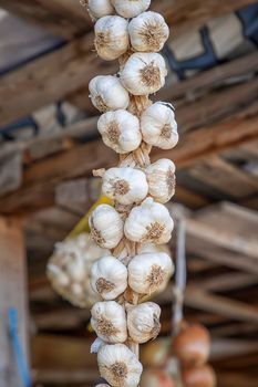 A close view of the handmade hanging bunch bundle of the garlic    