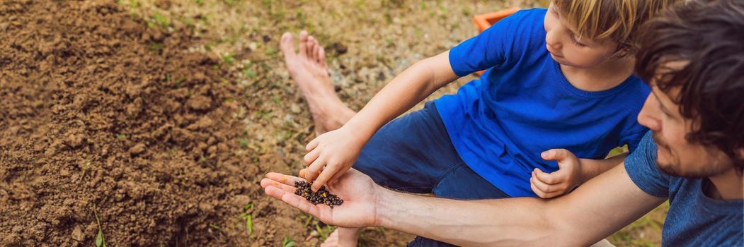 Father and son gardening in the garden near the house. BANNER, LONG FORMAT