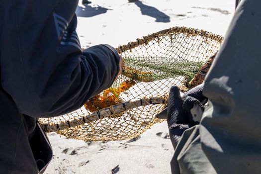 Amber collectors sort out their prey in a cage on the beach on the Baltic Sea coast in Baltiysk, Kaliningrad region, Russia.
