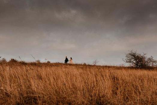 couple in love wedding newlyweds in a white dress and suit are walking on long grass in a field in summer. silhouettes of man and a woman against the backdrop of a formidable sky