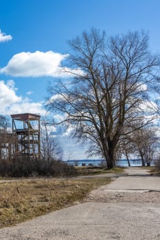 A journey to an abandoned airport on a bad broken asphalt road with a tall black tree leads to the sea in Baltiysk, Kaliningrad region, Russia, near the Baltic Sea.