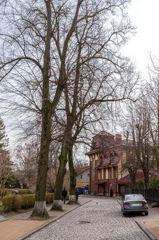 A picturesque street with cobblestones, along which there are tall trees without foliage in Zelenogradsk, Kaliningrad region, Russia, near the Baltic sea.
